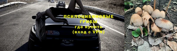 винт Арсеньев