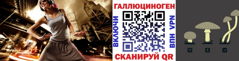 закладки  Долгопрудный  Псилоцибиновые грибы Psilocybe 