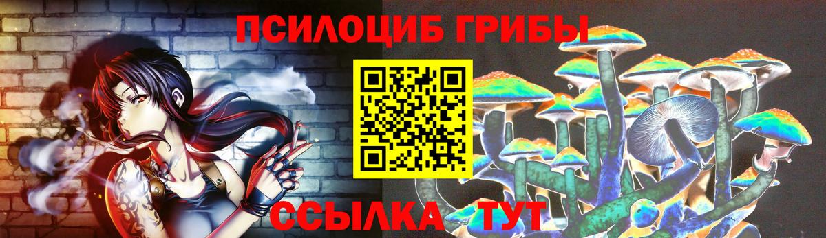 Псилоцибиновые грибы Cubensis  Вход с VPN  Псилоцибиновые грибы Psilocybe  Долгопрудный 