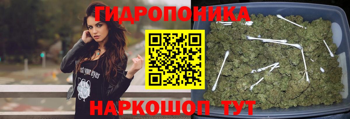 Каннабис LSD WEED  Вход с VPN  Долгопрудный  Каннабис тримм  Марихуана семена 